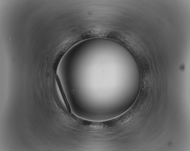 X0000097480693200802291358