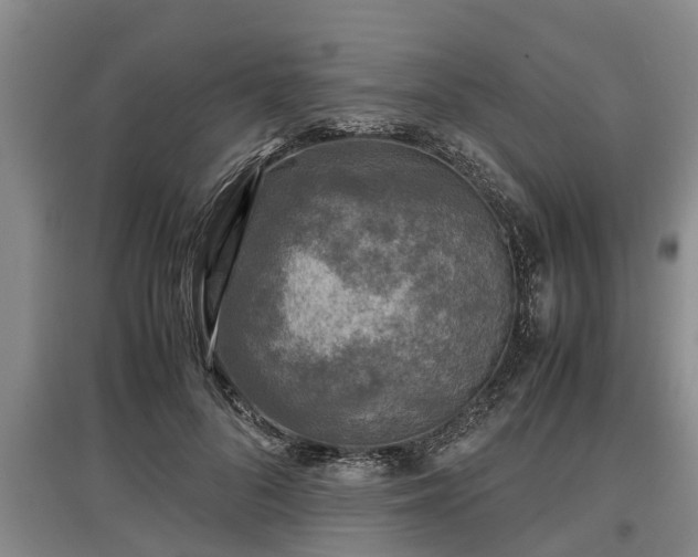 X0000097480696200802291358