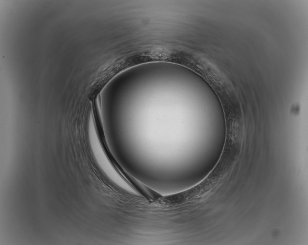 X0000097480697200802291358