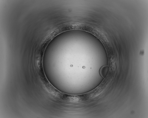 X0000097480698200802291358