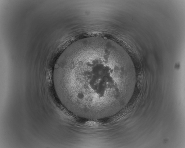 X0000097480699200802291358