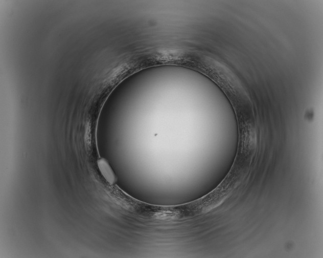 X0000097480700200802291358