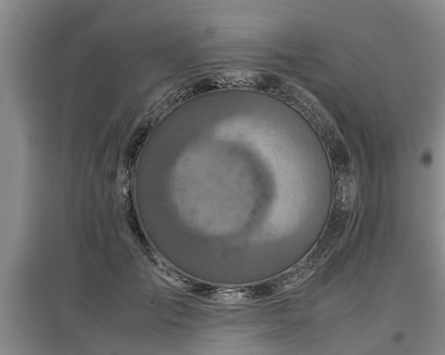 X0000097480701200802291358