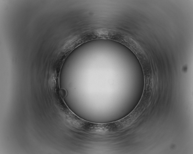 X0000097480702200802291358