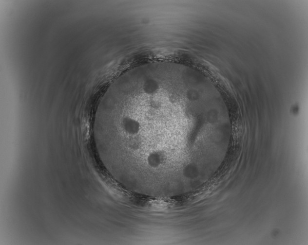 X0000097480703200802291358