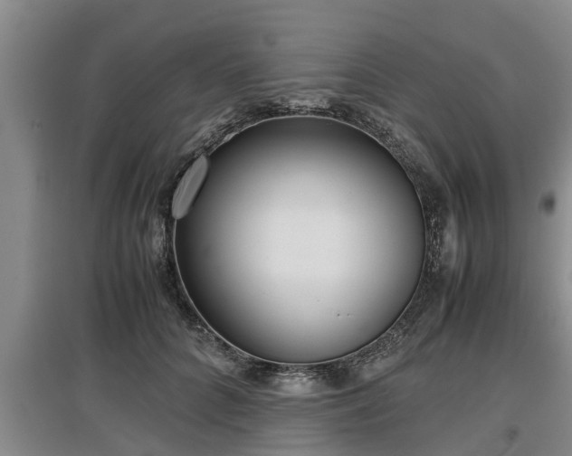 X0000097480704200802291358