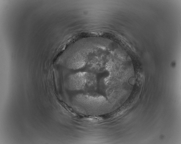 X0000097480707200802291358