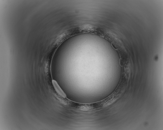 X0000097480708200802291358