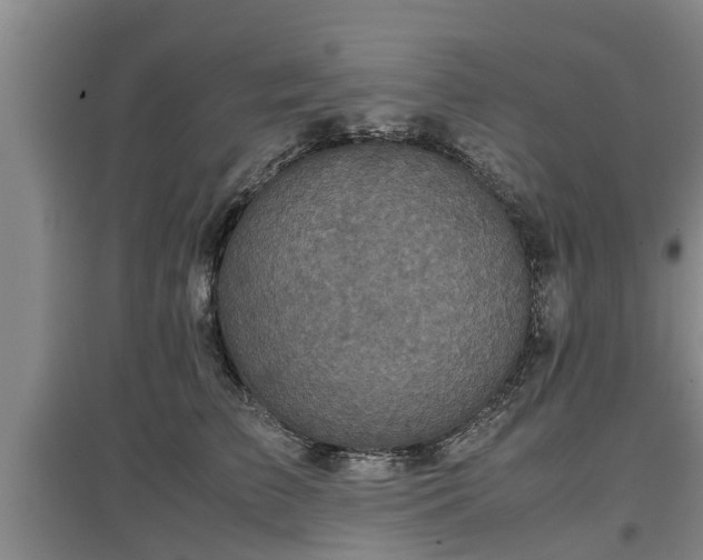 X0000097480709200802291358