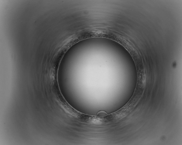 X0000097480710200802291358