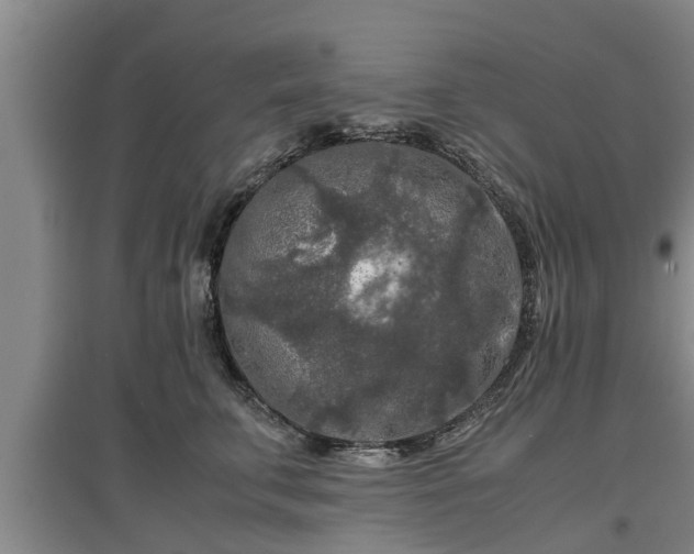 X0000097480711200802291358