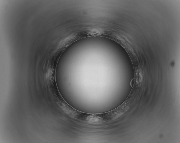 X0000097480714200802291358