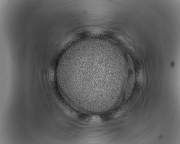 X0000097480715200802291358