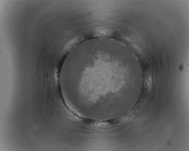 X0000097480716200802291358