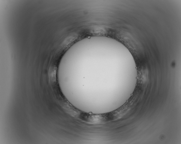 X0000097480717200802291358