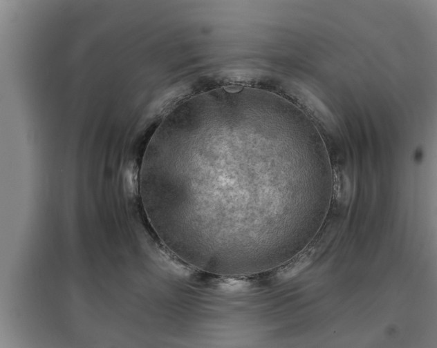 X0000097480718200802291358