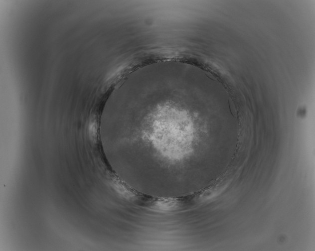 X0000097480720200802291358