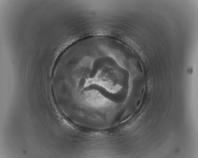 X0000097480721200802291357