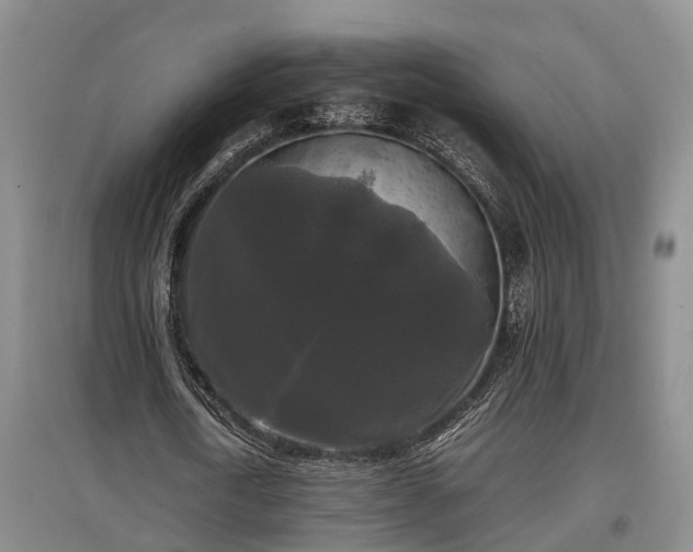 X0000097480722200802291357