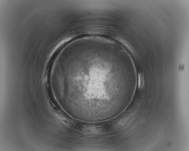 X0000097480723200802291357