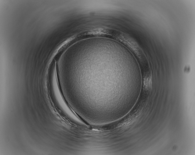 X0000097480724200802291357