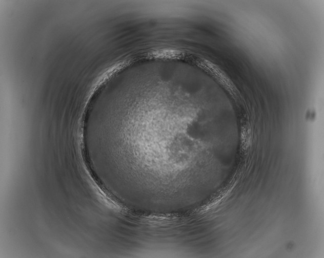 X0000097480725200802291357