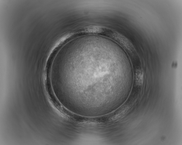 X0000097480726200802291357