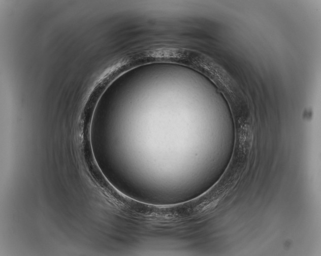 X0000097480727200802291357