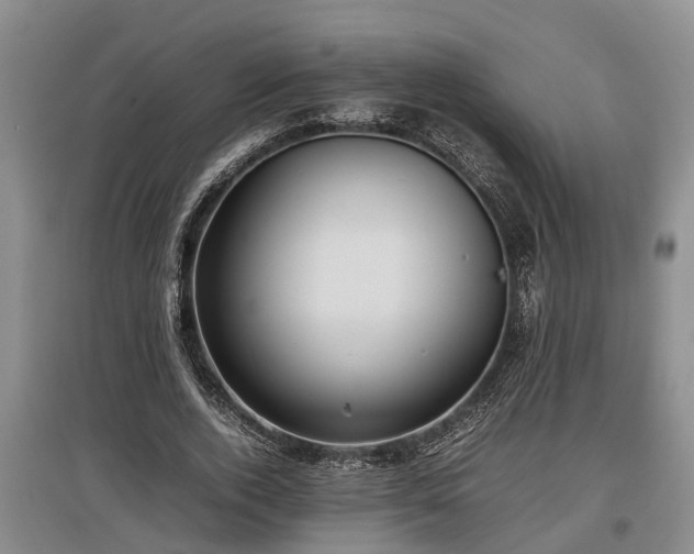 X0000097480728200802291357