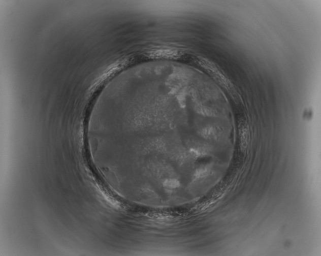 X0000097480729200802291357