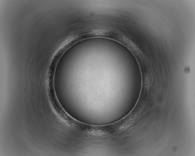 X0000097480730200802291357