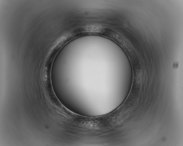 X0000097480731200802291357