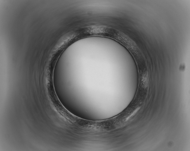 X0000097480732200802291357