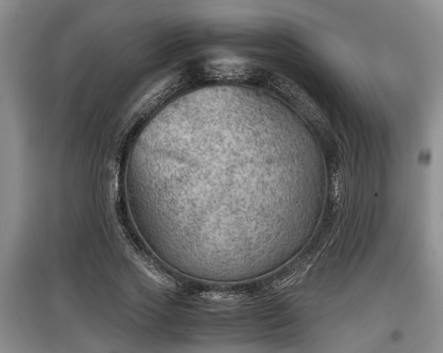 X0000097480733200802291357