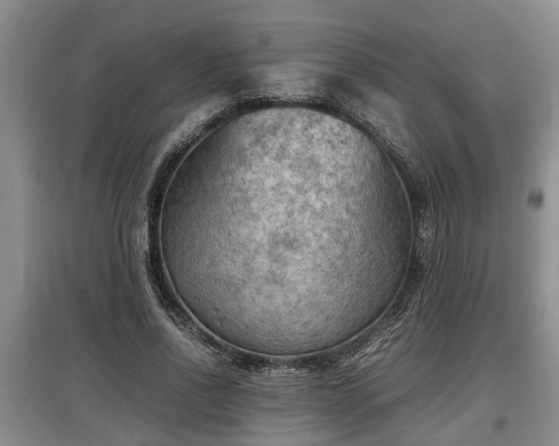 X0000097480734200802291357