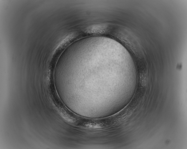 X0000097480735200802291357