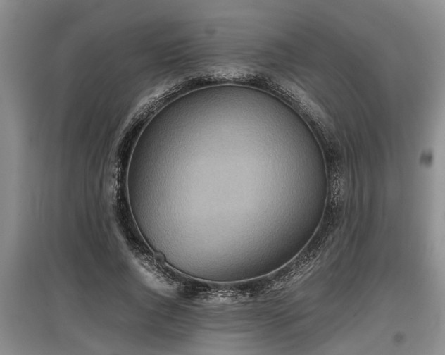 X0000097480736200802291357