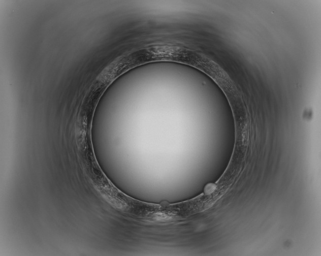 X0000097480737200802291357