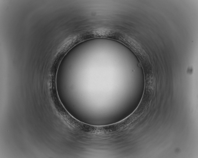 X0000097480738200802291357