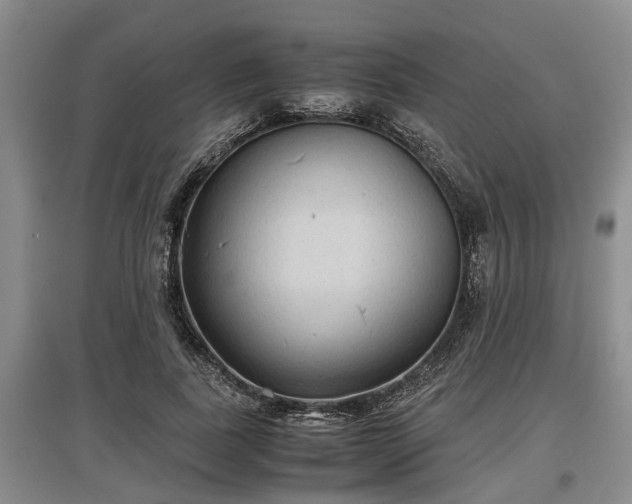 X0000097480739200802291357