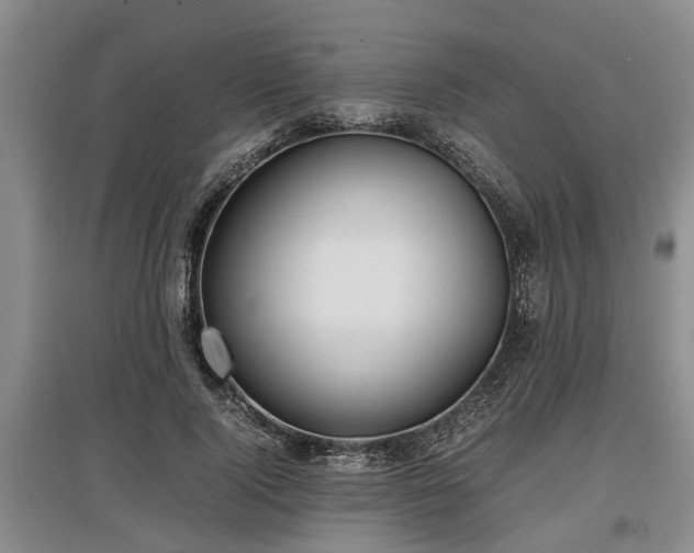 X0000097480740200802291357