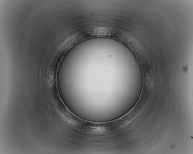 X0000097480741200802291357