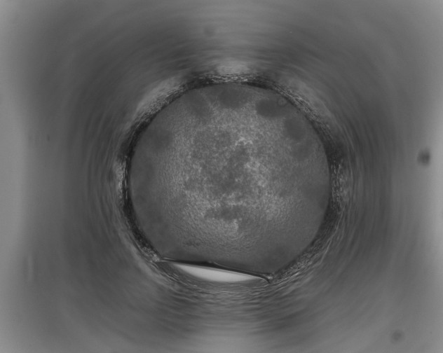 X0000097480742200802291358