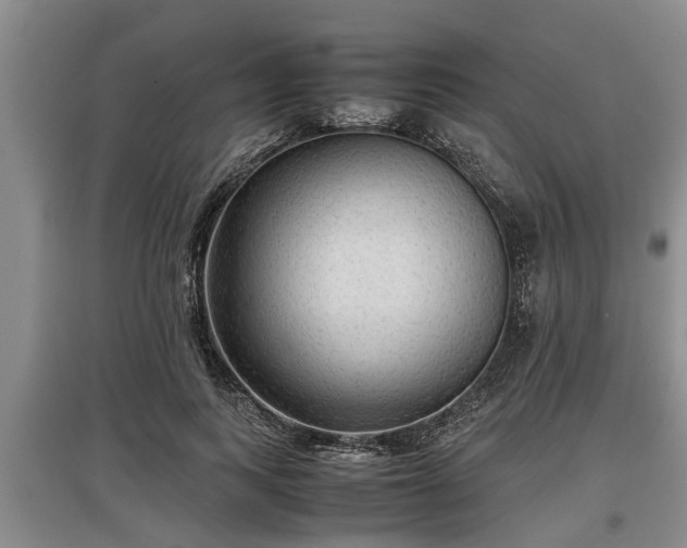 X0000097480743200802291358