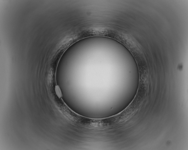 X0000097480744200802291358