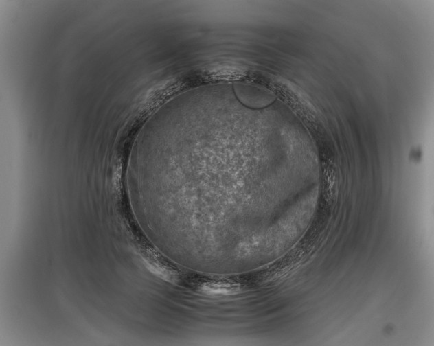 X0000097480745200802291358