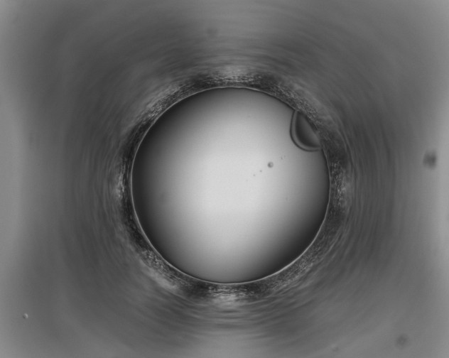 X0000097480746200802291358