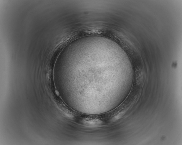 X0000097480747200802291358