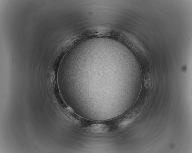 X0000097480748200802291358