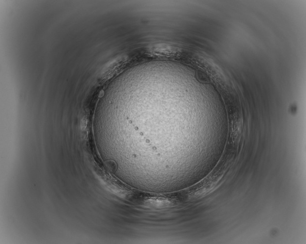 X0000097480749200802291358